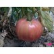 Tomate Rosa 